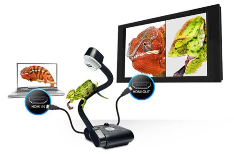 Camera vật thể có thể được sử dụng để trình chiếu các mẫu vật, mô hình giải phẫu